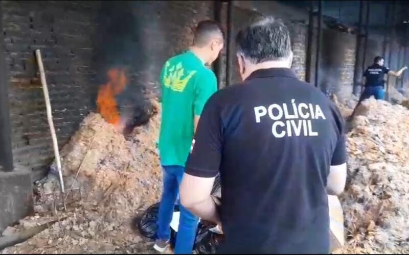 Polícia Civil de Teixeira de Freitas incinera drogas apreendidas